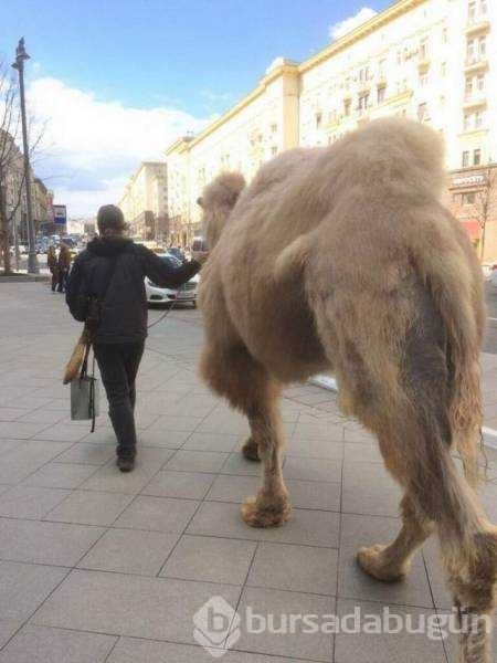 Rusya'dan akıllara zarar fotoğraflar

