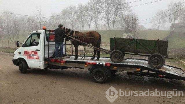 Rusya'dan akıllara zarar fotoğraflar
