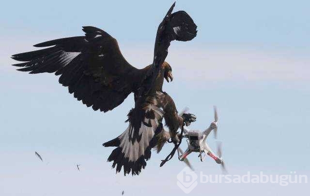 Günün en çok paylaşılan fotoğrafları
