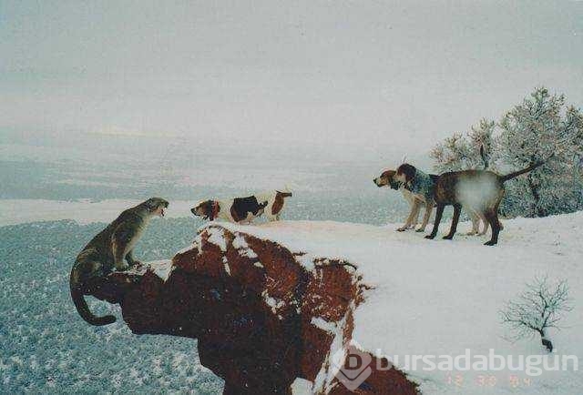 Günün en çok paylaşılan fotoğrafları
