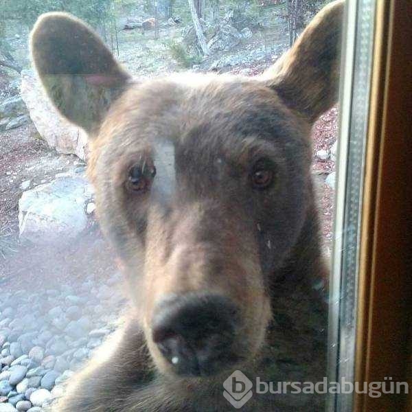 Günün en çok paylaşılan fotoğrafları
