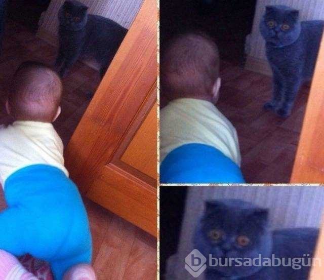Günün en çok paylaşılan fotoğrafları
