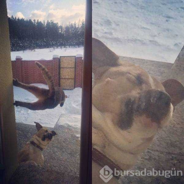 Günün en çok paylaşılan fotoğrafları
