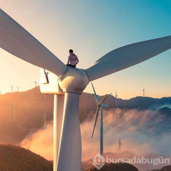 Günün en çok paylaşılan fotoğrafları
