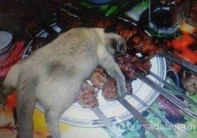 Günün en çok paylaşılan fotoğrafları
