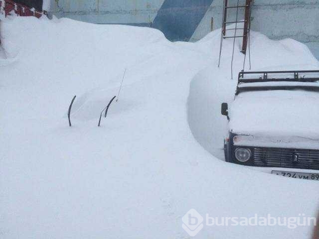 Günün en çok paylaşılan fotoğrafları
