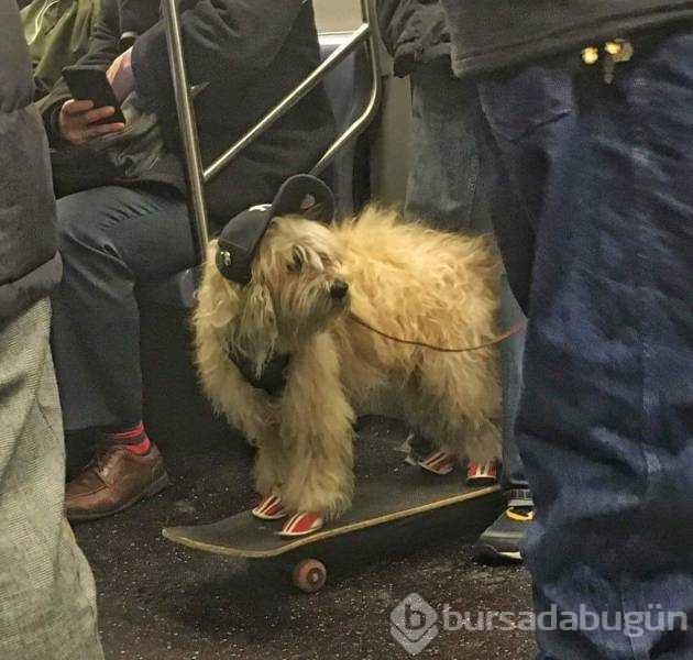 Günün en çok paylaşılan fotoğrafları
