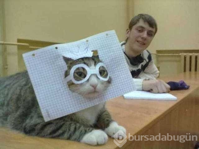 Günün en çok paylaşılan fotoğrafları
