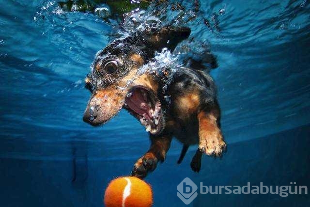Günün en çok paylaşılan fotoğrafları
