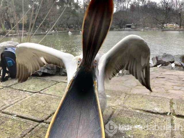 Günün en çok paylaşılan fotoğrafları
