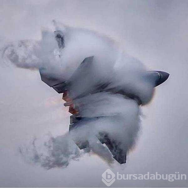 Günün en çok paylaşılan fotoğrafları
