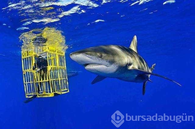 Günün en çok paylaşılan fotoğrafları