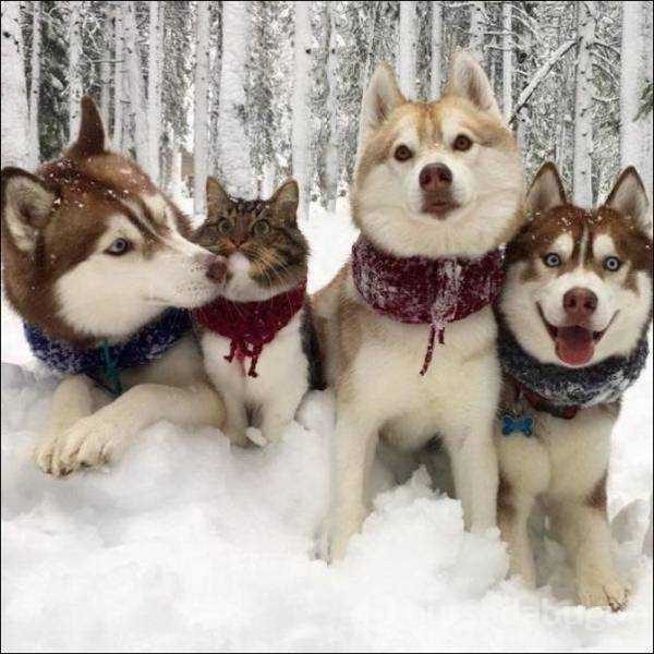 Günün en çok paylaşılan fotoğrafları