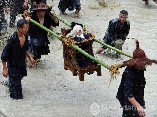 Günün en çok paylaşılan fotoğrafları