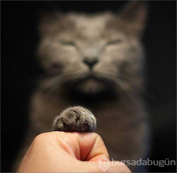 Günün en çok paylaşılan fotoğrafları