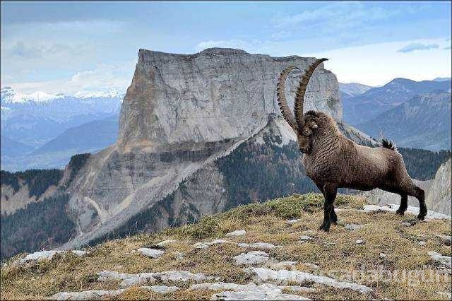 Günün en çok paylaşılan fotoğrafları