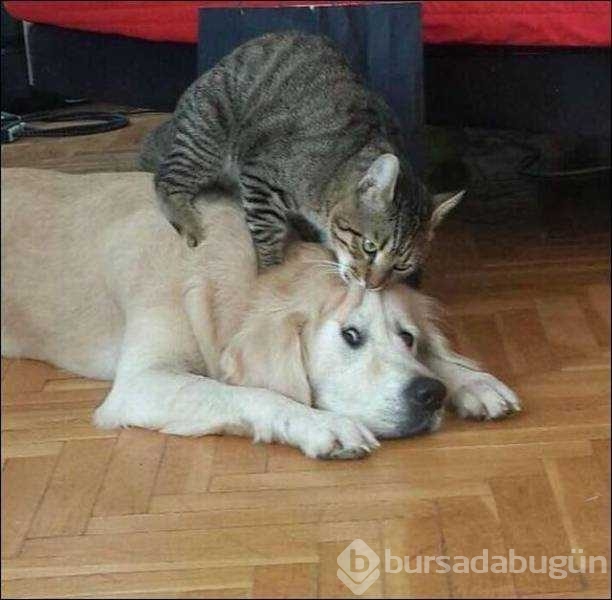 Günün en çok paylaşılan fotoğrafları