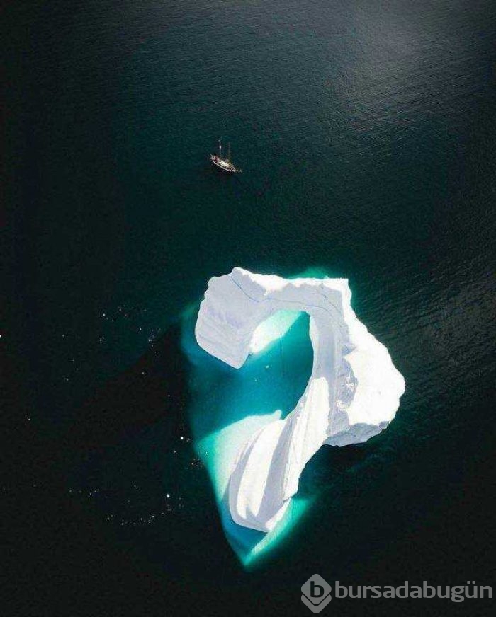 Günün en çok paylaşılan fotoğrafları