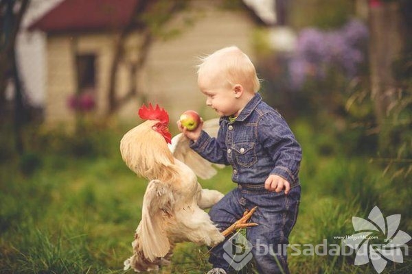 Çocuklar ve hayvanlar bir araya gelirse