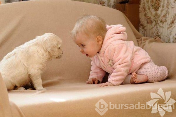 Çocuklar ve hayvanlar bir araya gelirse