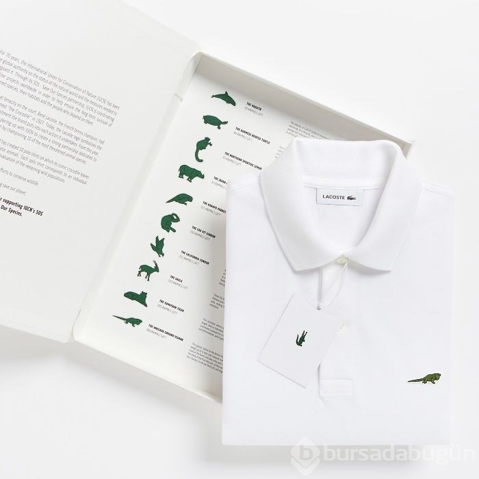 Lacoste logosunu değiştiriyor!
