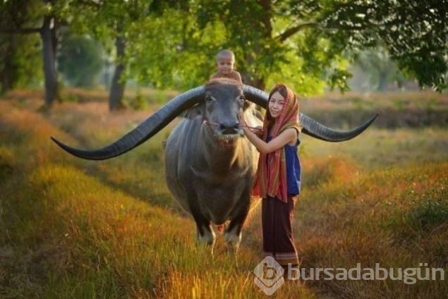 Günün en çok paylaşılan fotoğrafları