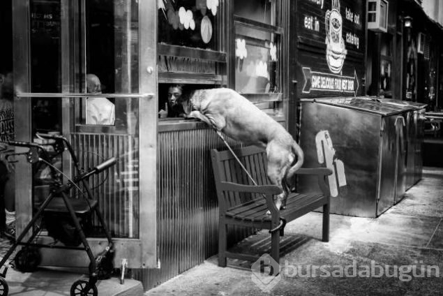 Günün en çok paylaşılan fotoğrafları