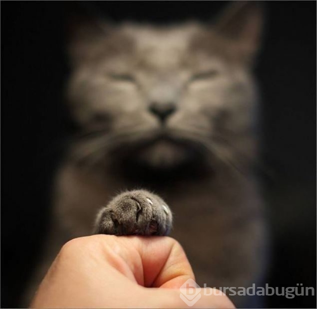 Günün en çok paylaşılan fotoğrafları