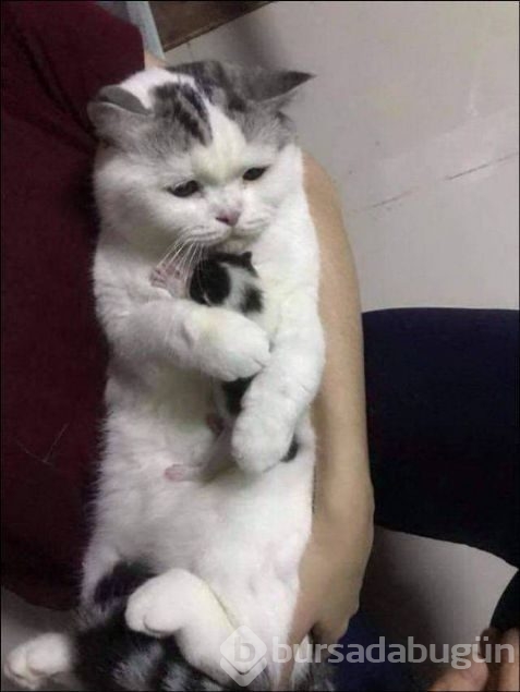 Günün en çok paylaşılan fotoğrafları