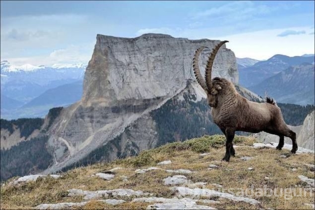 Günün en çok paylaşılan fotoğrafları