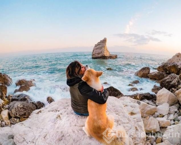 Günün en çok paylaşılan fotoğrafları