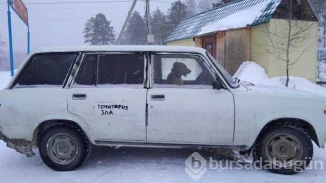 Günün en çok paylaşılan fotoğrafları