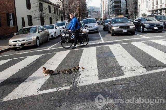 Günün en çok paylaşılan fotoğrafları
