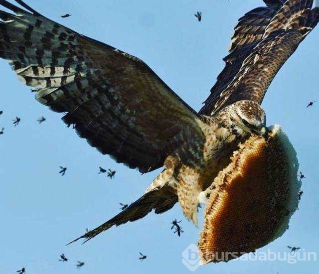 Günün en çok paylaşılan fotoğrafları
