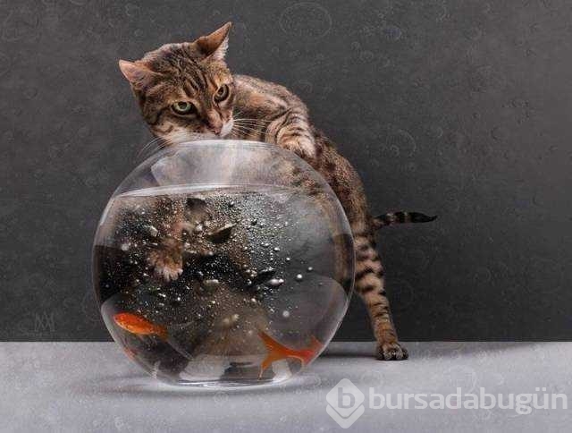 Günün en çok paylaşılan fotoğrafları
