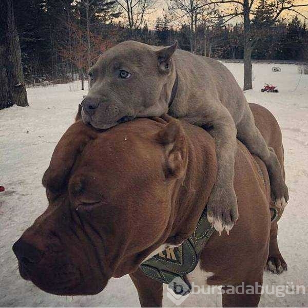 Günün en çok paylaşılan fotoğrafları
