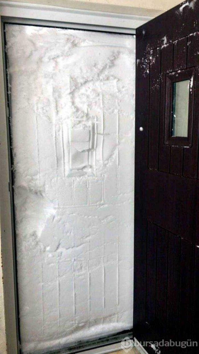 Günün en çok paylaşılan fotoğrafları
