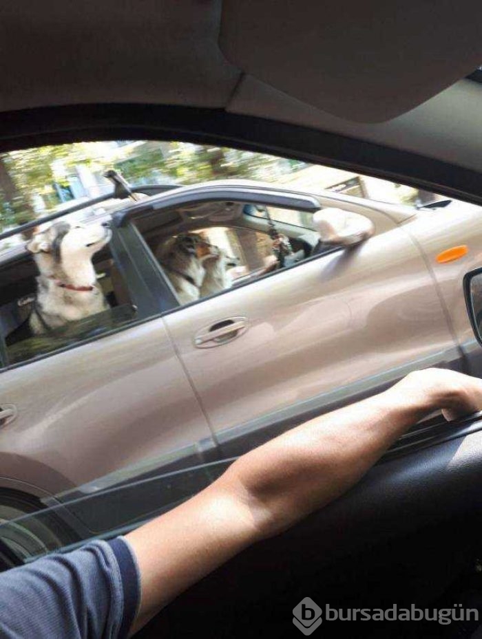 Günün en çok paylaşılan fotoğrafları
