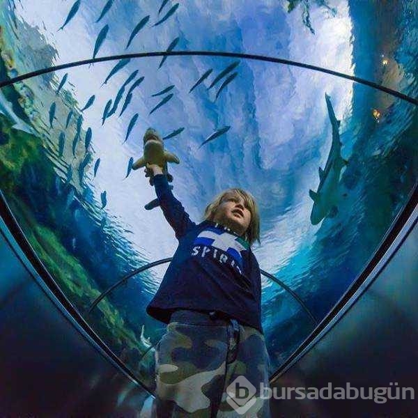 Günün en çok paylaşılan fotoğrafları

