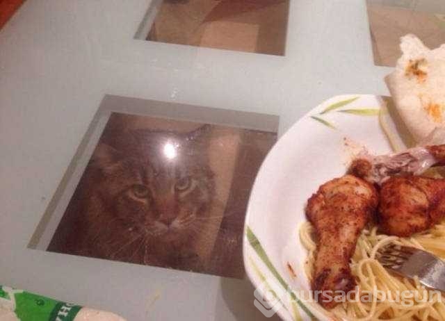 Günün en çok paylaşılan fotoğrafları
