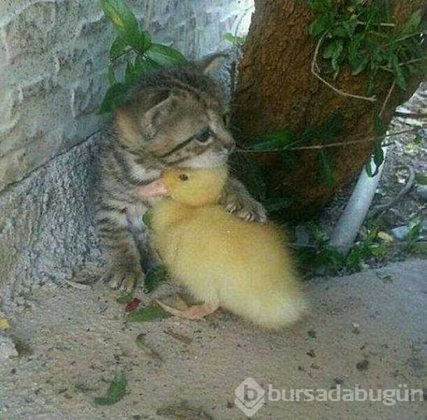 Günün en çok paylaşılan fotoğrafları
