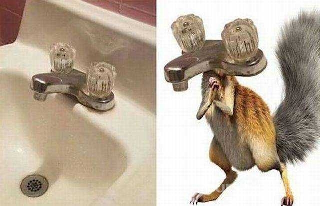 Günün en çok paylaşılan fotoğrafları
