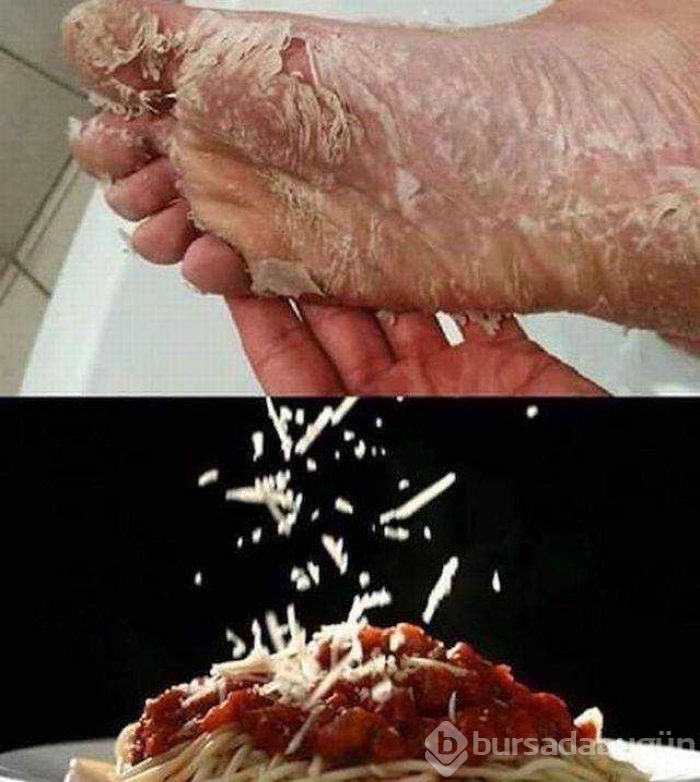 Günün en çok paylaşılan fotoğrafları
