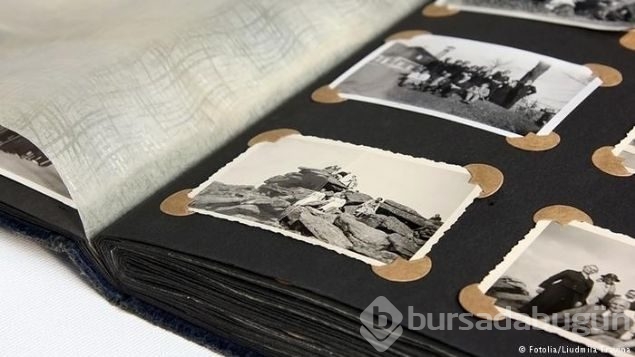 İşte dünyanın en büyük soyağacı
