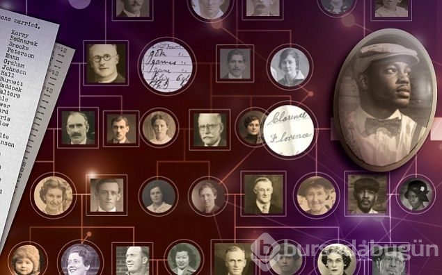 İşte dünyanın en büyük soyağacı
