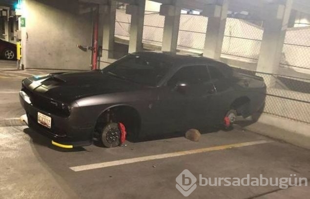 Sosyal medyada günün en çok paylaşılan fotoğrafları
