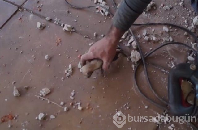 İnsanlığın utanç fotoğrafı! Bu halde bulunmuştu, işte son hali!