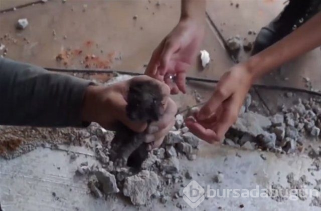 İnsanlığın utanç fotoğrafı! Bu halde bulunmuştu, işte son hali!