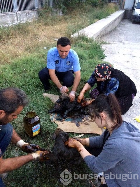 İnsanlığın utanç fotoğrafı! Bu halde bulunmuştu, işte son hali!