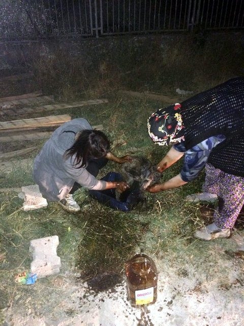 İnsanlığın utanç fotoğrafı! Bu halde bulunmuştu, işte son hali!
